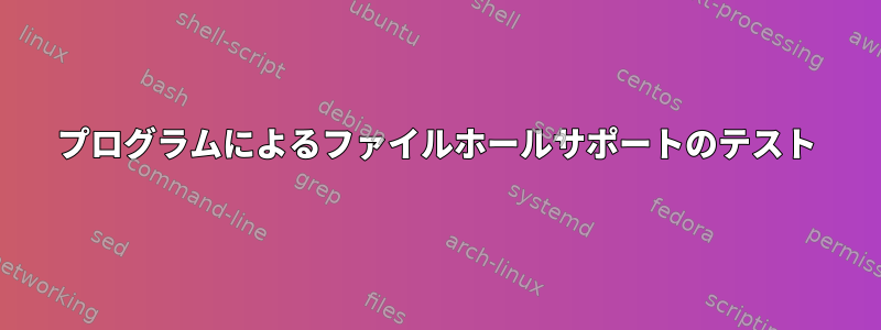 プログラムによるファイルホールサポートのテスト