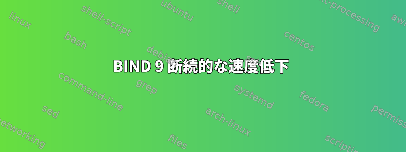 BIND 9 断続的な速度低下