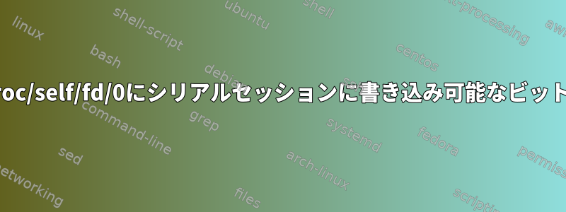 シェルが起動する前に/proc/self/fd/0にシリアルセッションに書き込み可能なビットがないのはなぜですか？