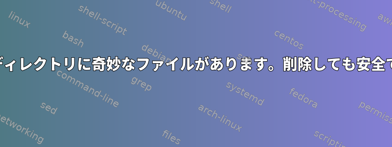 ルートディレクトリに奇妙なファイルがあります。削除しても安全ですか？