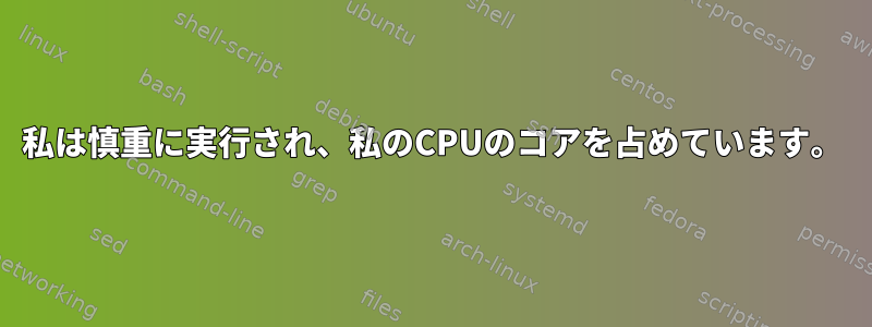 私は慎重に実行され、私のCPUのコアを占めています。