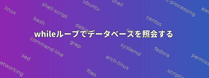 whileループでデータベースを照会する