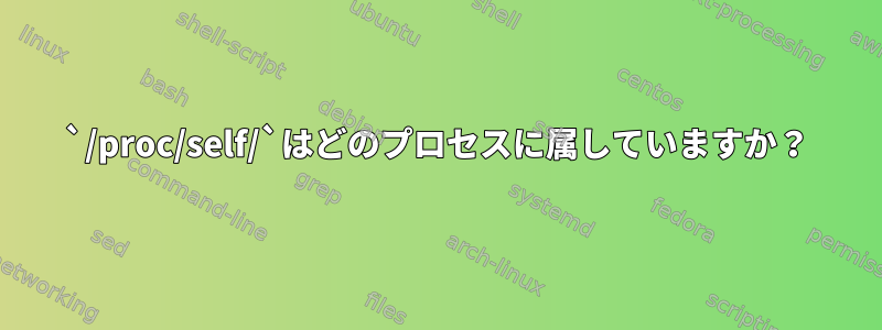 `/proc/self/`はどのプロセスに属していますか？