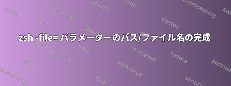 zsh -file= パラメーターのパス/ファイル名の完成