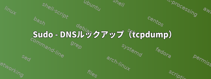 Sudo - DNSルックアップ（tcpdump）