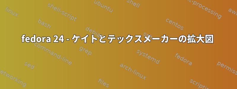 fedora 24 - ケイトとテックスメーカーの拡大図