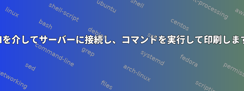 SSHを介してサーバーに接続し、コマンドを実行して印刷します。