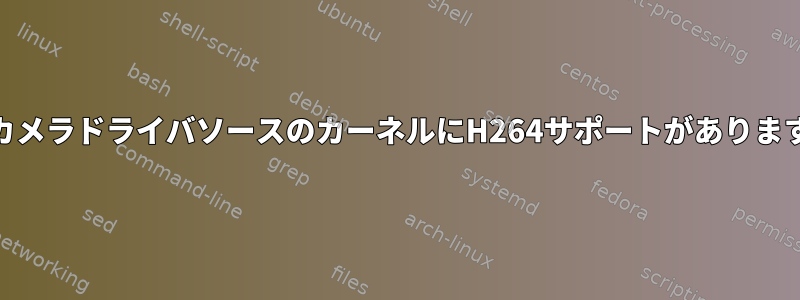 WebカメラドライバソースのカーネルにH264サポートがありますか？