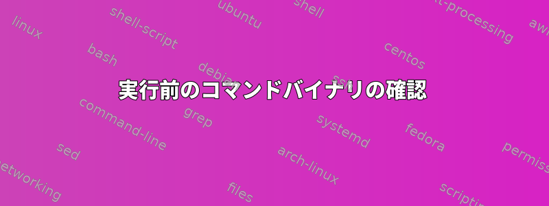 実行前のコマンドバイナリの確認