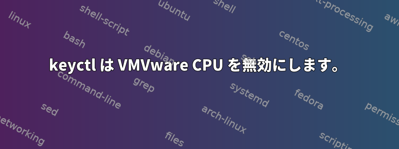 keyctl は VMVware CPU を無効にします。