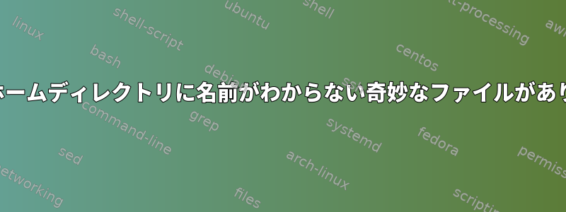 私のホームディレクトリに名前がわからない奇妙なファイルがあります