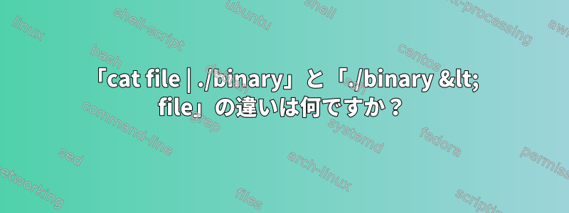 「cat file | ./binary」と「./binary &lt; file」の違いは何ですか？