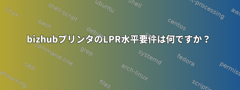 bizhubプリンタのLPR水平要件は何ですか？