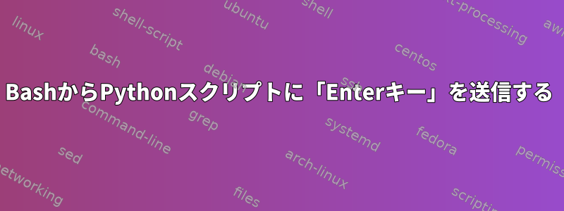 BashからPythonスクリプトに「Enterキー」を送信する