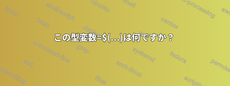 この型変数=$(...)は何ですか？