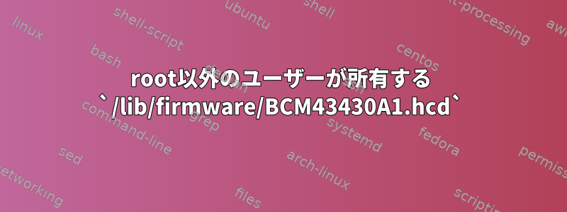 root以外のユーザーが所有する `/lib/firmware/BCM43430A1.hcd`