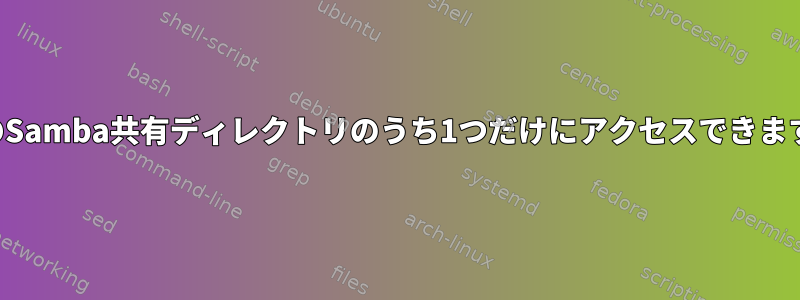 2つのSamba共有ディレクトリのうち1つだけにアクセスできます。