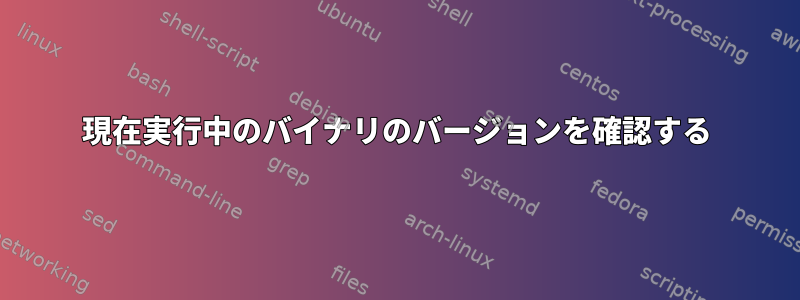 現在実行中のバイナリのバージョンを確認する