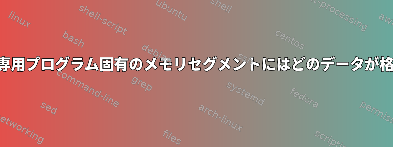 2番目の読み取り専用プログラム固有のメモリセグメントにはどのデータが格納されますか？