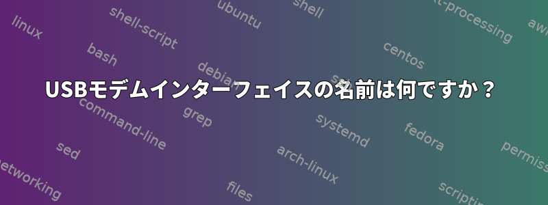 USBモデムインターフェイスの名前は何ですか？