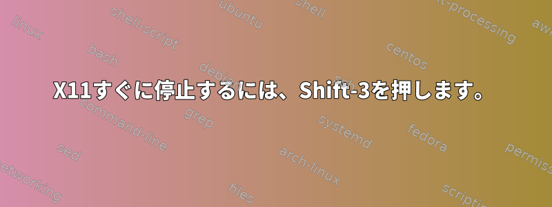 X11すぐに停止するには、Shift-3を押します。