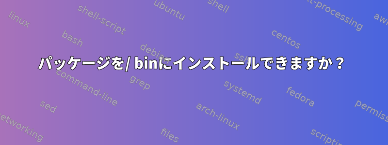 パッケージを/ binにインストールできますか？