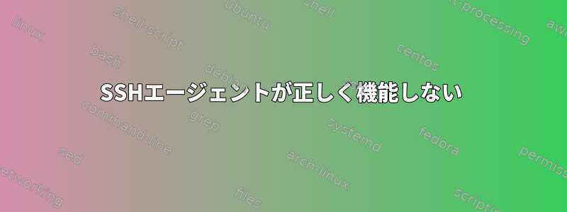 SSHエージェントが正しく機能しない