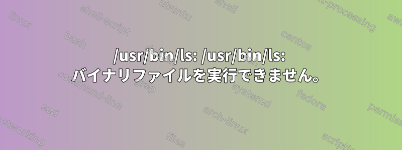 /usr/bin/ls: /usr/bin/ls: バイナリファイルを実行できません。