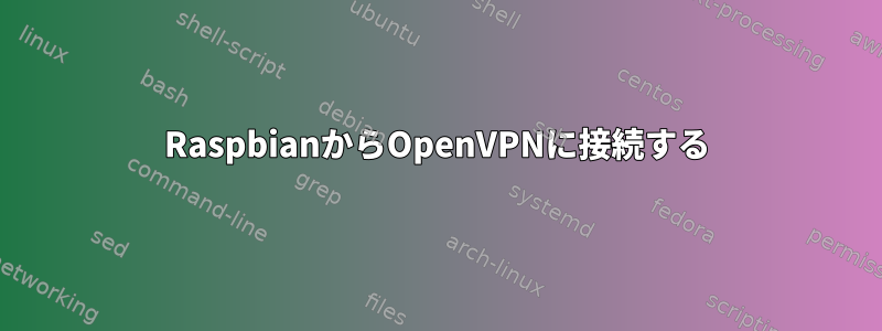 RaspbianからOpenVPNに接続する