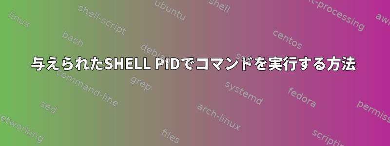 与えられたSHELL PIDでコマンドを実行する方法