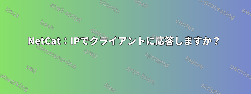 NetCat：IPでクライアントに応答しますか？