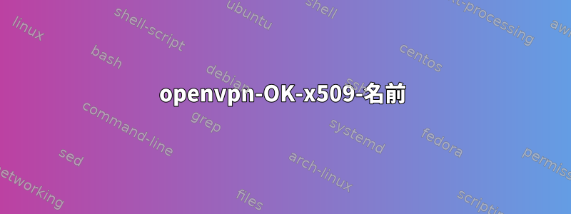 openvpn-OK-x509-名前