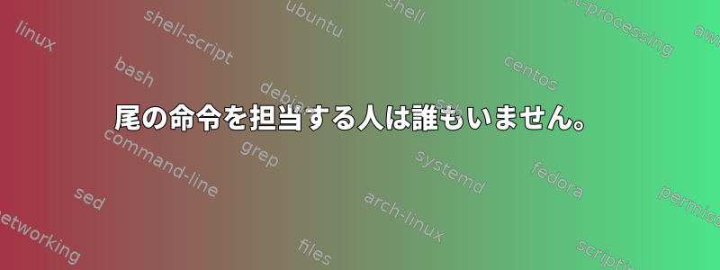 尾の命令を担当する人は誰もいません。