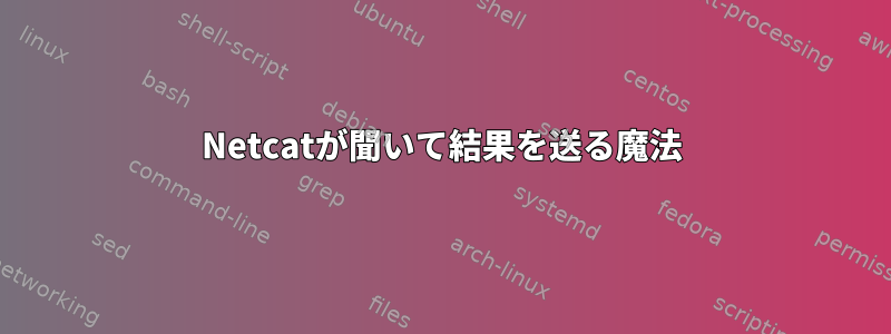 Netcatが聞いて結果を送る魔法