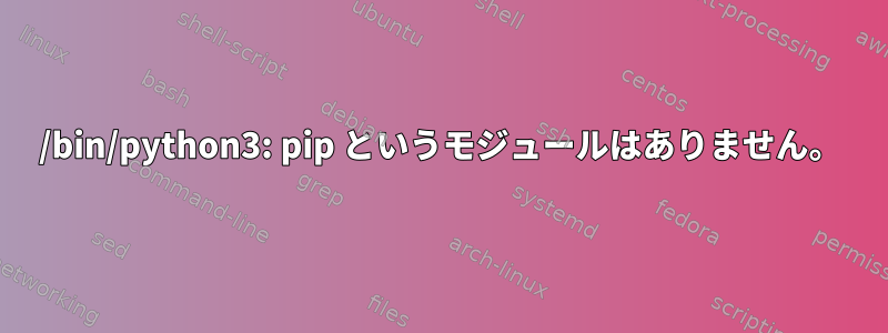 /bin/python3: pip というモジュールはありません。