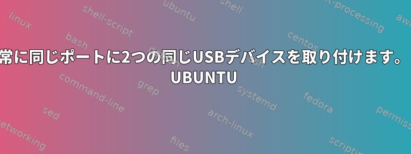 常に同じポートに2つの同じUSBデバイスを取り付けます。 UBUNTU