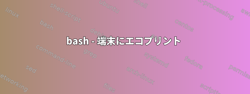 bash - 端末にエコプリント