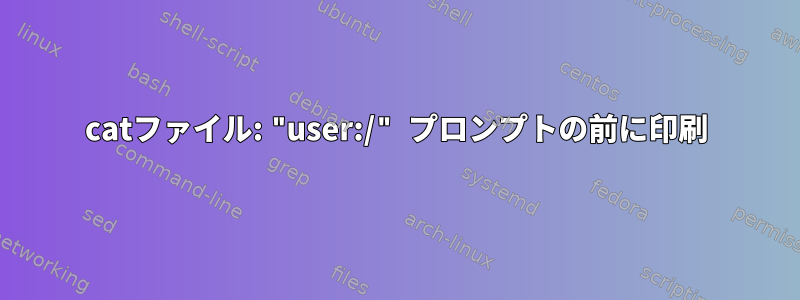 catファイル: "user:/" プロンプトの前に印刷