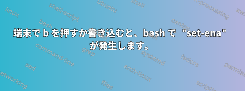 端末で b を押すか書き込むと、bash で "set-ena" が発生します。