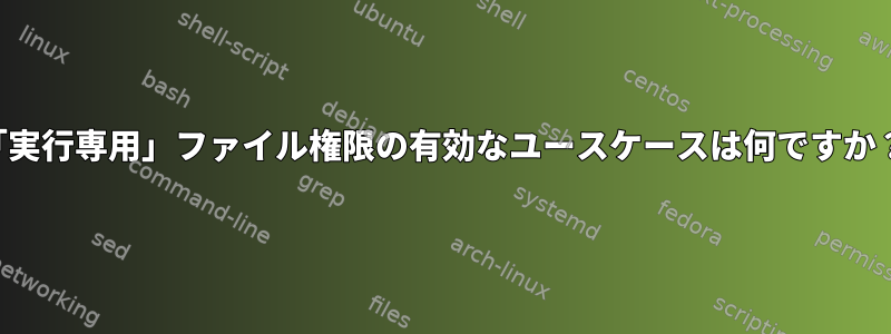 「実行専用」ファイル権限の有効なユースケースは何ですか？