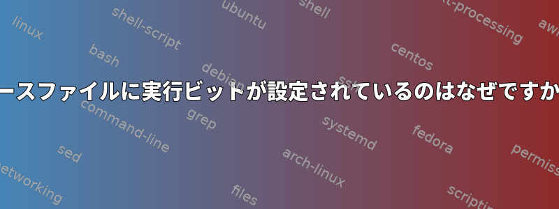 ソースファイルに実行ビットが設定されているのはなぜですか？