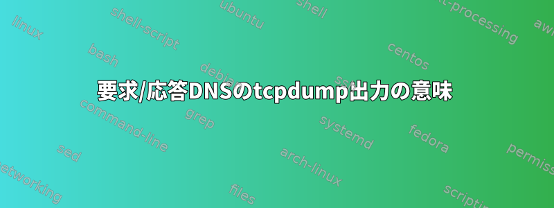 要求/応答DNSのtcpdump出力の意味