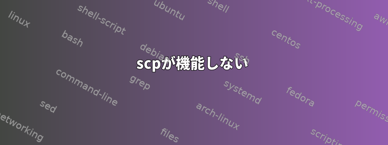 scpが機能しない