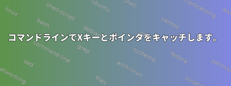 コマンドラインでXキーとポインタをキャッチします。