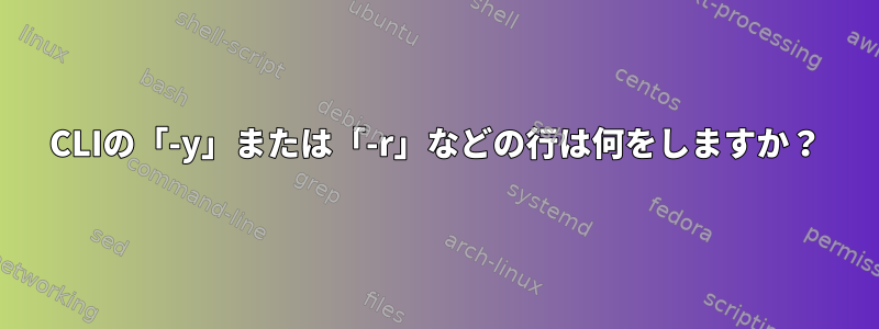 CLIの「-y」または「-r」などの行は何をしますか？