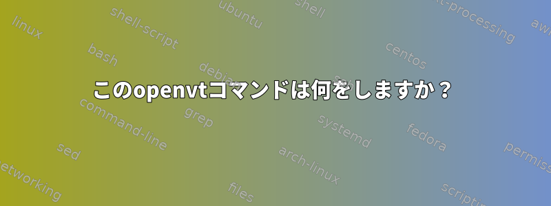 このopenvtコマンドは何をしますか？