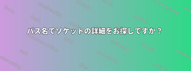 パス名でソケットの詳細をお探しですか？