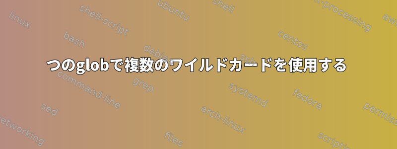 1つのglobで複数のワイルドカードを使用する