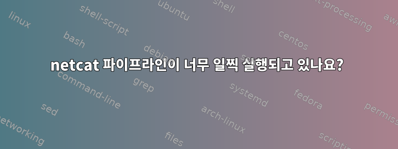 netcat 파이프라인이 너무 일찍 실행되고 있나요?