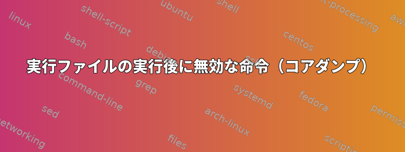 実行ファイルの実行後に無効な命令（コアダンプ）